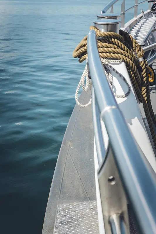 Wheely.Boats Premium Domain
